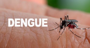 Hato Mayor y San Pedro en alerta amarilla por dengue