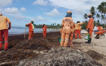 Obras Públicas retira sargazos de playas de la región este