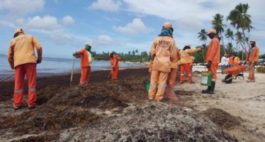 Obras Públicas retira sargazos de playas de la región este