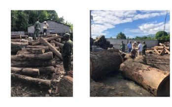 Procuraduría Medio Ambiente realiza allanamiento en aserradero de Bonao