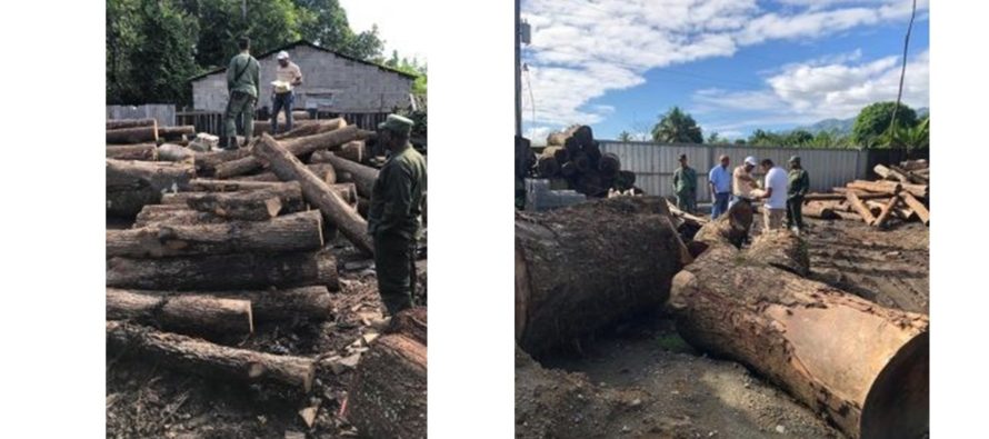 Procuraduría Medio Ambiente realiza allanamiento en aserradero de Bonao