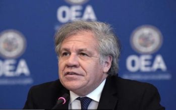 Informe OEA: descarta sabotaje en las suspendidas elecciones de febrero