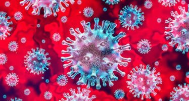 Reportaron 15 nuevos fallecimientos por coronavirus en boletín del domingo