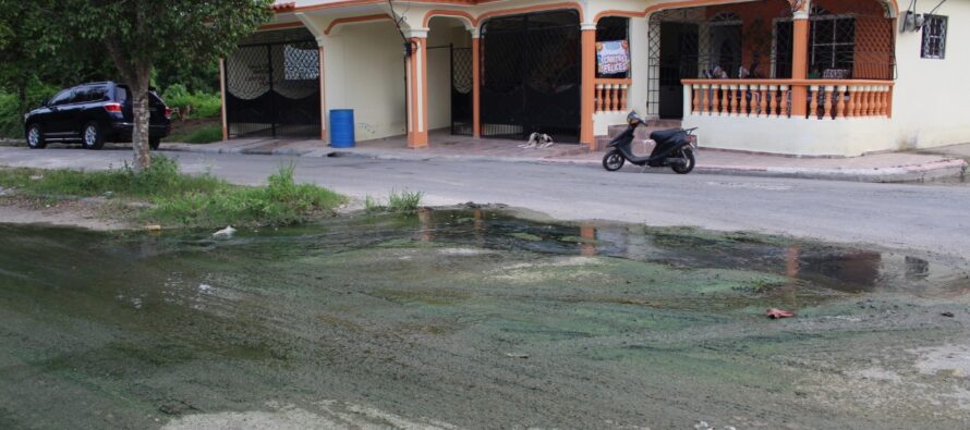 Residentes del sector Brisas de HM esperan solución a alcantarilla expulsando agua con heces