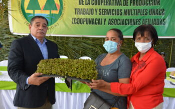 FEDA impulsa agricultura familiar; anuncia concurso mejores huertos agrícolas domésticos