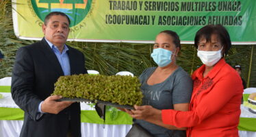 FEDA impulsa agricultura familiar; anuncia concurso mejores huertos agrícolas domésticos