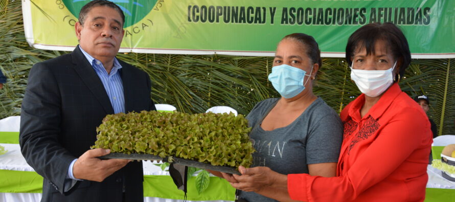 FEDA impulsa agricultura familiar; anuncia concurso mejores huertos agrícolas domésticos