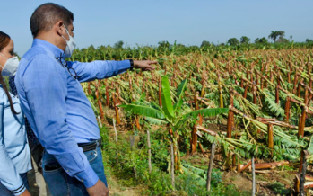 Ministro de Agricultura evalúa daños causados por tornado en Mao