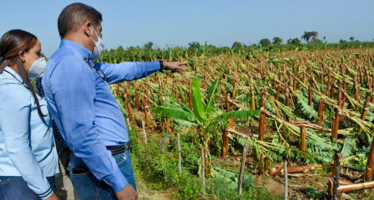 Ministro de Agricultura evalúa daños causados por tornado en Mao