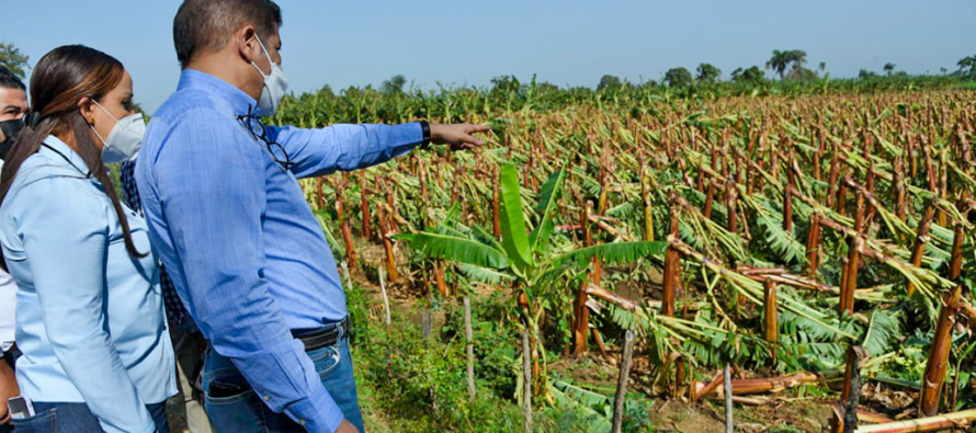 Ministro de Agricultura evalúa daños causados por tornado en Mao