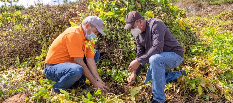 Consorcio Citrícola del Este se une a Medio Ambiente en jornada de reforestación