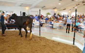 Banco Agrícola dispone facilidades de inversión durante la Feria Agropecuaria Nacional 2022