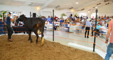 Banco Agrícola dispone facilidades de inversión durante la Feria Agropecuaria Nacional 2022