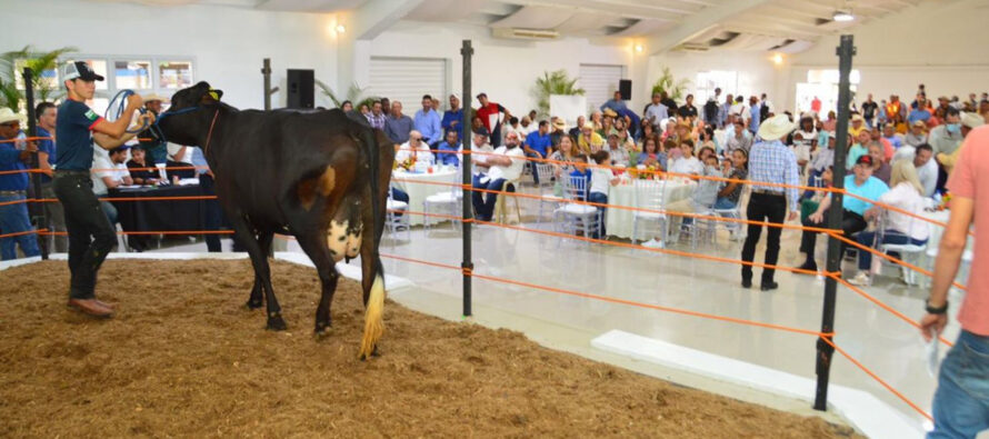 Banco Agrícola dispone facilidades de inversión durante la Feria Agropecuaria Nacional 2022