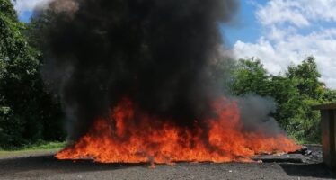 La Procuraduría incinera más de 2,000 kilos de drogas