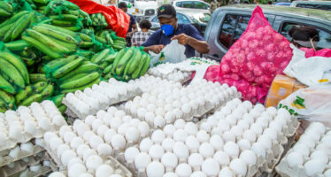 Gobierno dispone la venta de huevos a tres pesos a través del Inespre