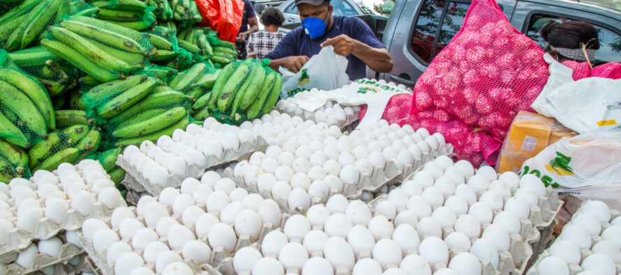 Gobierno dispone la venta de huevos a tres pesos a través del Inespre