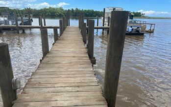 Investigan muerte de peces en el río Soco