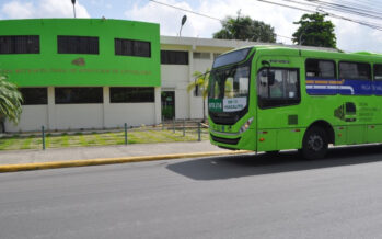 Autobuses de la OMSA volverán a transportar a fanáticos de la pelota invernal