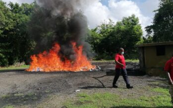 República Dominicana ha incinerado más de 32 toneladas de drogas en lo que va de año