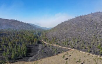 Medio Ambiente informa que todos los incendios forestales han sido controlados o extinguidos