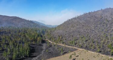 Medio Ambiente informa que todos los incendios forestales han sido controlados o extinguidos