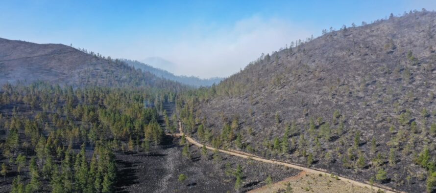 Medio Ambiente informa que todos los incendios forestales han sido controlados o extinguidos