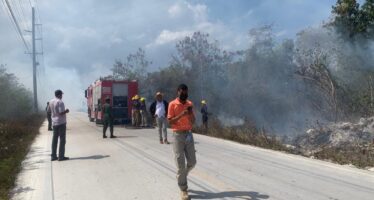 Logran prisión preventiva contra nueve hombres por provocar incendio forestal en La Altagracia