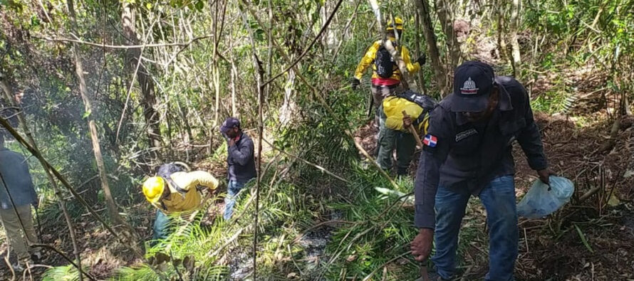 Siete personas han sido detenidas por incendios de Punta Cana