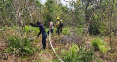 Ministerio de Medio Ambiente reitera llamado a la población a hacer correcto uso del fuego