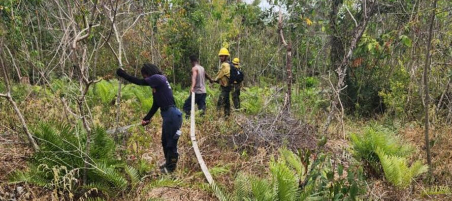 Ministerio de Medio Ambiente reitera llamado a la población a hacer correcto uso del fuego