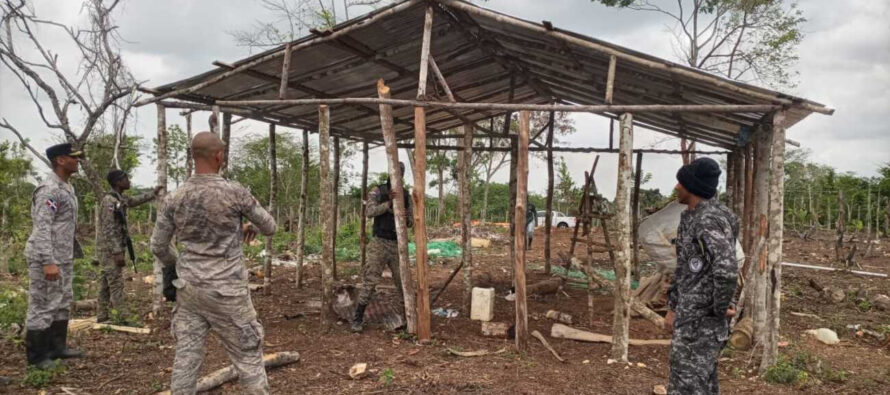 Arrestan más de 100 personas por provocar daños en Los Haitises