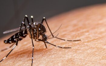 La atención y cuidado médico adecuado reducen la mortalidad por dengue