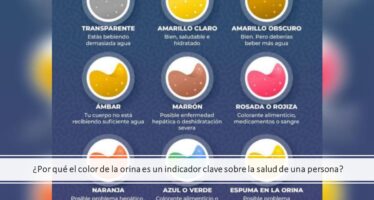 ¿Por qué el color de la orina es un indicador clave sobre la salud de una persona?