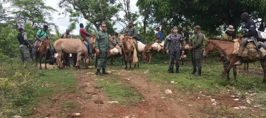 Intervención en Los Haitises concluye con el arresto de 439 personas por delitos ambientales